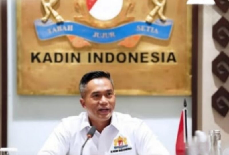 Anindya Bakrie secara resmi menjabat sebagai Ketua Umum Kamar Dagang dan Industri (Kadin) Indonesia periode 2024--2029. (Instagram.com/@anindyabakrie)