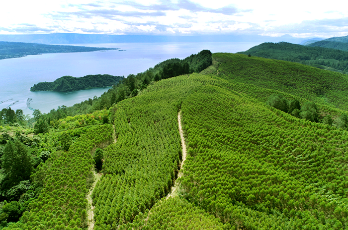 PT Toba Pulp Lestari Tbk. (Facebook.com @Toba Pulp Lestari)